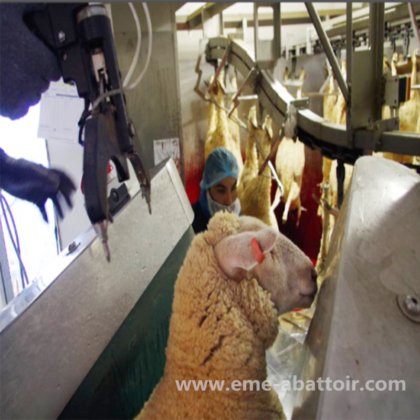 羊肉输送线 山羊屠宰设备 用于羊肉屠宰场的绵羊屠宰设备