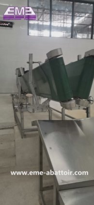 绵羊约束带式输送机处理机输送系统 初级加工屠宰场机器