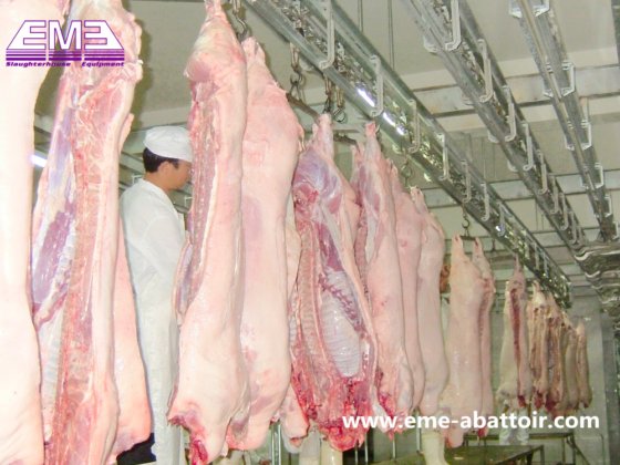 豚の屠殺ライン機械 完全な生産 豚の食肉処理設備