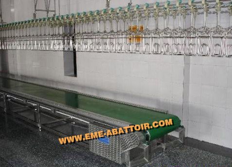 鶏と鴨のためのプロフェッショナルな屠殺機器