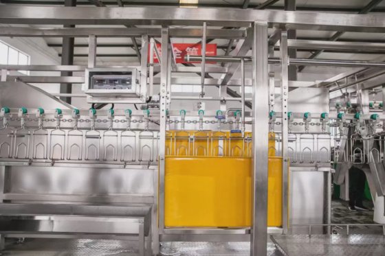 鶏と鴨のためのプロフェッショナルな屠殺機器