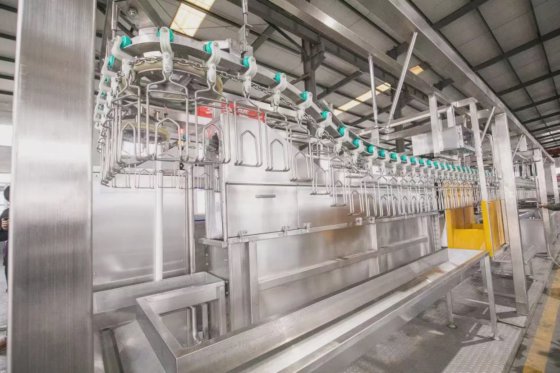 鶏と鴨のためのプロフェッショナルな屠殺機器