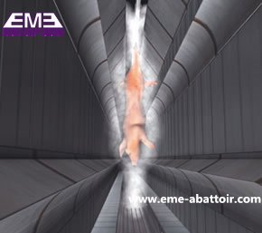 屠殺場機械 肉体蒸気スカールディングチャンネルシステム（バルブ：EU）豚屠殺設備