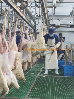 用于山羊屠宰加工设备的蹄液压剪羊毛机