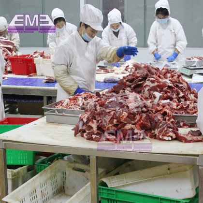 成套牛屠宰场设备 用于牛屠宰设备的牛和清真礼仪屠宰设备