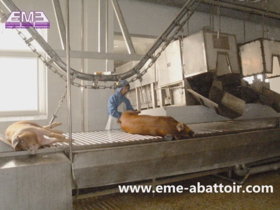 自动输送台猪屠宰线屠宰场设备