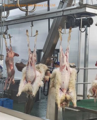 自动拉皮机设备 肉类加工山羊屠宰场机器 绵羊屠宰场