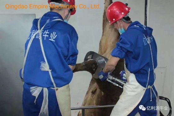 牛の角とひづめの油圧シアー、家畜屠殺場設備、屠殺ライン用