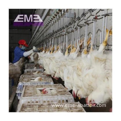 设备屠宰机定制紧凑型自动家禽鸡肉屠宰