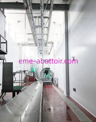 用于奶牛屠宰机的采血槽牛设备