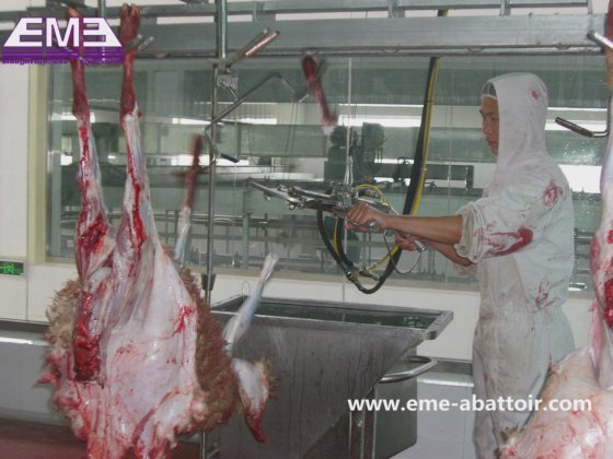 羊用油圧蹄切断機、ヤギと子羊の屠殺設備
