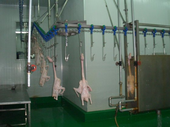 用于屠宰场设备的家禽屠宰场屠体清洗机