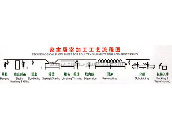 用于屠宰场设备的家禽屠宰场屠体清洗机