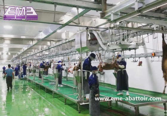 蹄用油圧剪断器 滅菌装置 牛 羊 豚