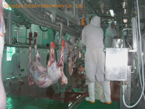 用于肉类加工机械的 20 头牛和 50 头猪屠宰设备