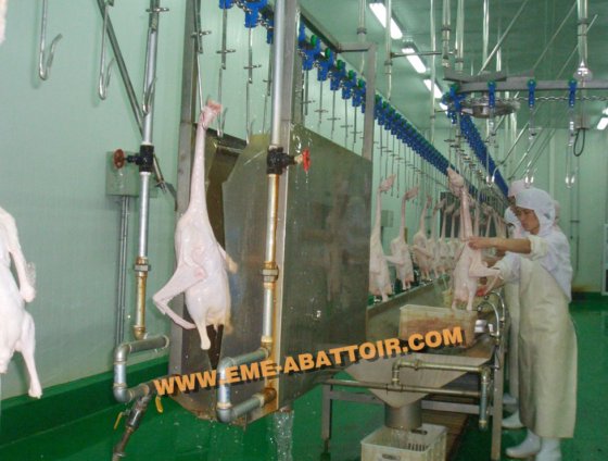 新生活家禽笼滑道式家禽屠宰场加工机