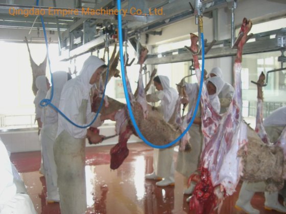 自動出血コンベヤー鉄道羊屠殺設備 肉加工ライン用