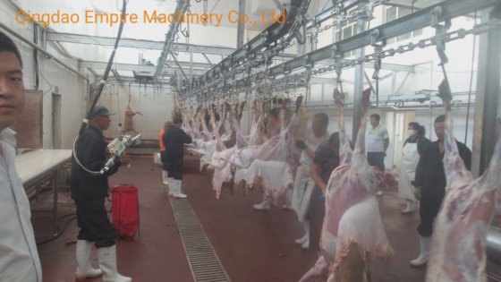 自動出血コンベヤー鉄道羊屠殺設備 肉加工ライン用