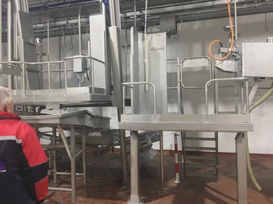 交钥匙工程 奶牛屠宰线 乳骨开锯消毒装置 牲口屠宰场设备 牛屠宰场设备