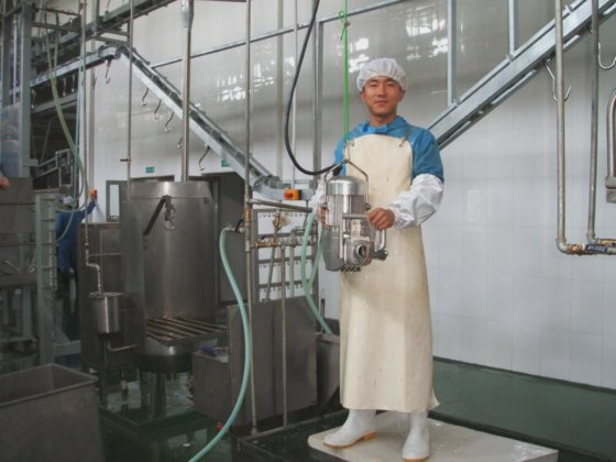 交钥匙工程 奶牛屠宰线 乳骨开锯消毒装置 牲口屠宰场设备 牛屠宰场设备