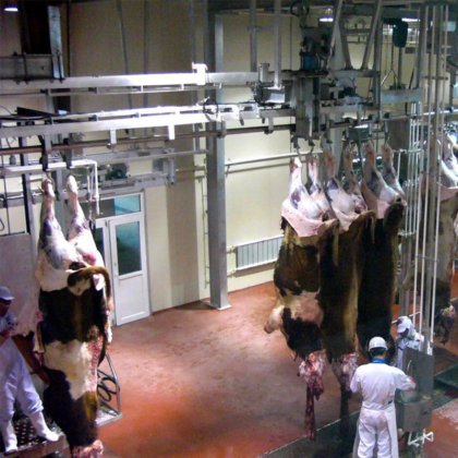 交钥匙工程 奶牛屠宰线 乳骨开锯消毒装置 牲口屠宰场设备 牛屠宰场设备