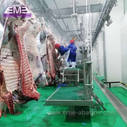日屠宰 500 头牛的大型屠宰场 清真肉类加工厂 奶牛屠宰场设备