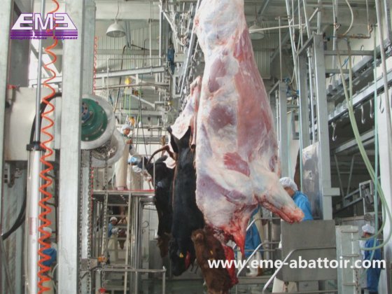 屠宰场牛自动拉皮机 牛屠宰场设备