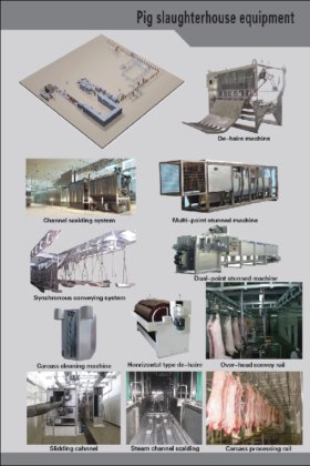 交钥匙工程 猪胴体卧式剥皮机 肉类加工屠宰场设备 用于屠宰场机械的屠宰机