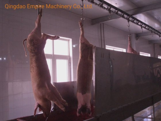 血液収集タンク 豚の屠殺機器 肉加工機械