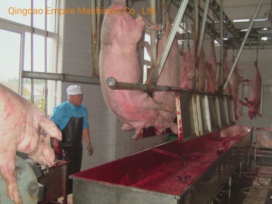 血液収集タンク 豚の屠殺機器 肉加工機械
