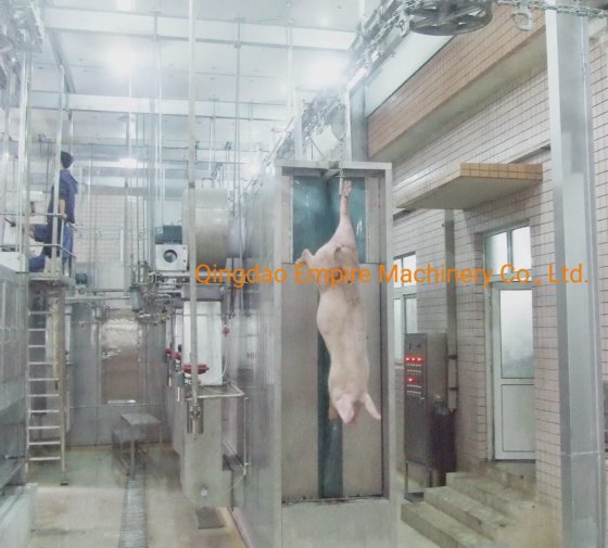 胴体蒸汽烫毛通道系统 大型生猪屠宰场使用的屠宰设备