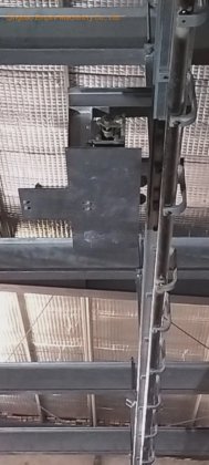 家畜 牛肉 処理場 殺戮機器 バッファロー