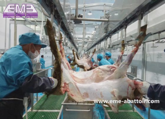 金牌供应商 同步预剥皮输送机 用于屠宰场的绵羊屠宰设备