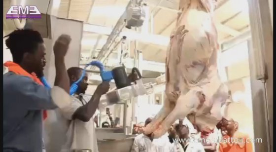 電動往復式肉切り鋸 牛 牛肉処理場 殺戮機器