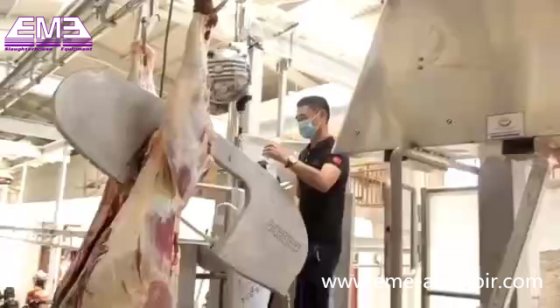 屠殺機器 牛用分割鋸