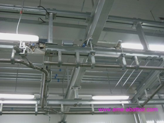 屠殺場用の豚の屠殺設備の専門製造