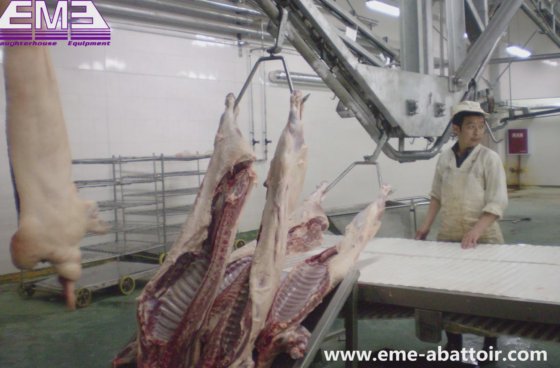 用于肉类加工厂生产线的 304s 滑槽式猪屠宰机