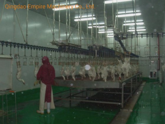 定制家禽屠宰设备 脱毛输送轨道式扒鸡机