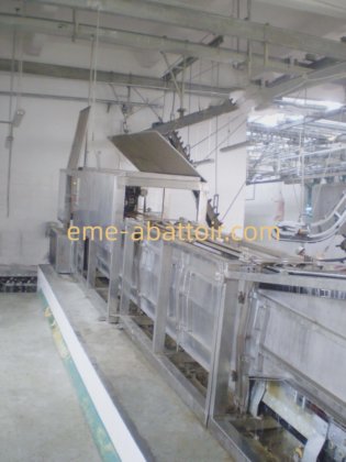 工厂供应商生猪入口通道屠宰场设备屠宰机