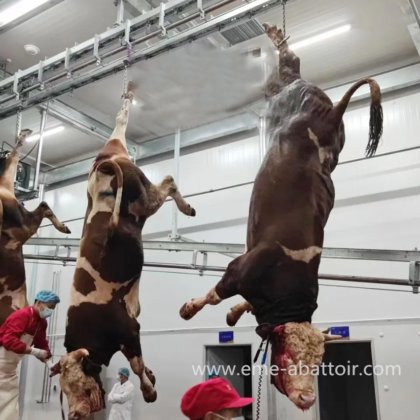 中国制造 工厂生产 牛放血桎梏屠宰线机器 牛肉机械 屠宰设备