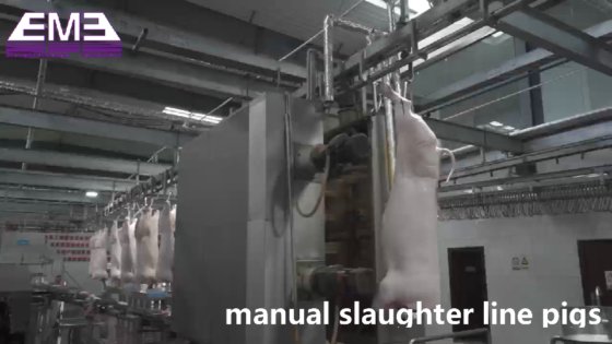 豚の胴体清掃自動装置 食肉処理機械 slaughter equipment