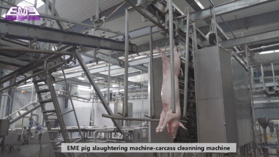 猪屠体清洗自动装置 屠宰场机械 屠宰设备