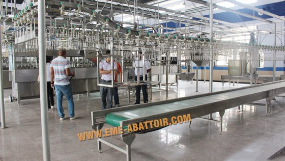 家禽脱毛机 鸡鸭屠宰设备 农业机械