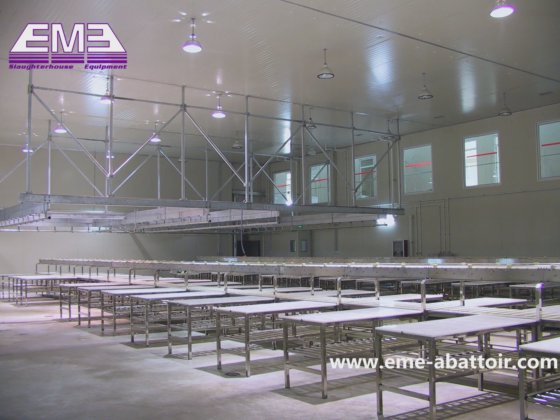 多种规格 牛 鸡 猪 羊