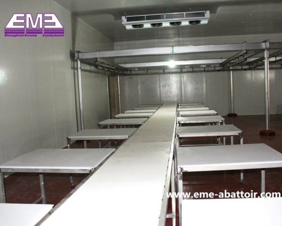 多种规格 牛 鸡 猪 羊