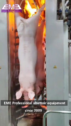 屠殺場機械 豚の胴体 焼き焦がし炉機 豚屠殺設備