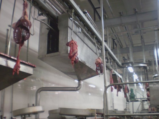 屠宰设备 猪内脏同步检疫悬挂输送机 屠宰设备