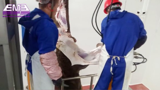 出厂价牲畜胴体加工刀去骨刀 屠夫店屠宰设备