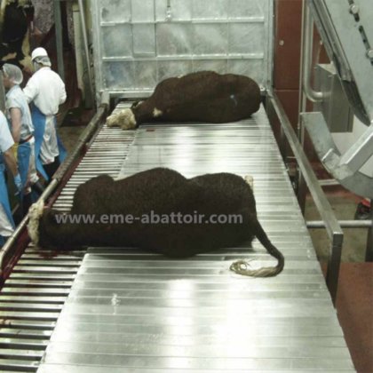 最高の肉屋機器 屠殺場機械 牛 半分の胴体 バンドスプリッティングソー