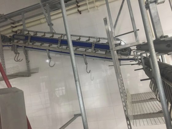 牛屠宰场放血镣铐下降机 母牛屠宰设备